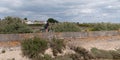 Side view young woman cycling at seaside dike on island Ile de Re in France