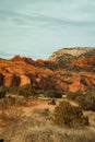 Side by side 4 wheeler driving on forest service road 525 in Coconino National Forest with red rocks mountains in background at