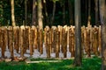 Side wooden piles or pillars in a green wooden park in summer. DIY fence and fence. Decor for woods made from natural