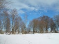 Side Zalgiriu forest in winter, Lithuania Royalty Free Stock Photo