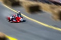 Sidecar motorcycle racing