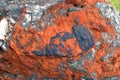 Siderite, iron ore. Cretaceous. Lower Aptian. 119 Mya Royalty Free Stock Photo