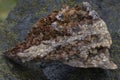 Siderite mineral sample on stony background Royalty Free Stock Photo