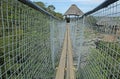 SIDES OF SUSPENSION BRIDGE OVER ORIBI GORGE Royalty Free Stock Photo