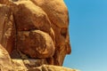 Sideview of a face in a rock at Joshua Tree National Park