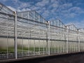 Sideview of a newly build greenhouse