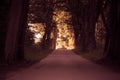 Sidewalk alley path with trees in park. Royalty Free Stock Photo