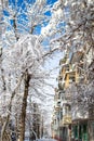 Sidewalk along a residential apartment building in the snow, frozen icicles on a tree. Frosty winter day Royalty Free Stock Photo