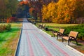 Sidewalk in the autumn park Royalty Free Stock Photo