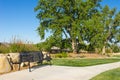 Sidewalk Bench in Suburban Neighborhood Royalty Free Stock Photo