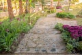 Sidewalk in the Blooming relaxation garden Royalty Free Stock Photo