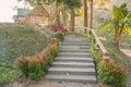 Sidewalk in the Blooming relaxation garden Royalty Free Stock Photo