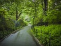 Sidewalk in Central Park, New York City Royalty Free Stock Photo