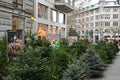 Sidewalk Christmas trees sale in the city center. Royalty Free Stock Photo