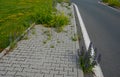 Sidewalk of concrete cubes at a crossing overgrown with weed flowers. neighborhood without regular maintenance. sidewalks difficul