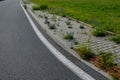 Sidewalk of concrete cubes at a crossing overgrown with weed flowers. neighborhood without regular maintenance. sidewalks difficul