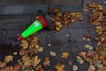 On the sidewalk covered with autumn foliage stop cone Royalty Free Stock Photo
