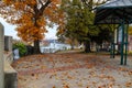 A sidewalk covered with fallen autumn leaves with red brick and cobble stone surrounded by gorgeous green and autumn colored trees Royalty Free Stock Photo