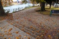 A sidewalk covered with fallen autumn leaves with red brick and cobble stone surrounded by gorgeous green and autumn colored trees Royalty Free Stock Photo