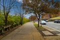 A sidewalk covered with fallen autumn leaves surrounded by gorgeous autumn colored trees and red brick buildings