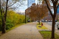 A sidewalk covered with fallen autumn leaves surrounded by gorgeous autumn colored trees and red brick buildings Royalty Free Stock Photo