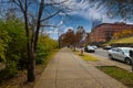 A sidewalk covered with fallen autumn leaves surrounded by gorgeous autumn colored trees and red brick buildings Royalty Free Stock Photo