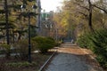 Sidewalk with fallen leaves in the autumn square