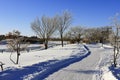 Sidewalk on a frosty winter day