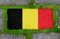 On the sidewalk in green moss, paving slabs with the image of the Belgian flag. Royalty Free Stock Photo