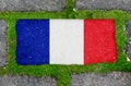 On the sidewalk in green moss, paving slabs with the image of the flag of France. Royalty Free Stock Photo