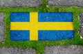 On the sidewalk in green moss, paving slabs with the image of the flag of Sweden. Royalty Free Stock Photo