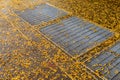 Sidewalk with inset metal grates, covered with tiny yellow leaves, urban fall seasonal background