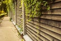 Sidewalk with ivy green lianas over fence