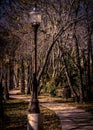 Sidewalk & Lamp post in Memorial Park