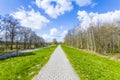 Sidewalk on a levee at the Baltic Sea Royalty Free Stock Photo