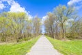 Sidewalk on a levee at the Baltic Sea Royalty Free Stock Photo