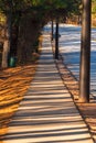 Sidewalk with long shadows in Stone Mountain Park, USA Royalty Free Stock Photo