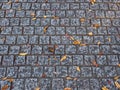 Sidewalk made with cobblestones with autumn leaves on a surface Royalty Free Stock Photo