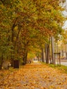 Sidewalk next to the autumn park.