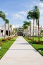 Sidewalk Through Palms at Tropical Resort