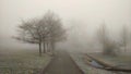 Sidewalk in the park during misty freezing morning