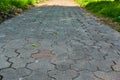 The sidewalk paved with brick blocks goes with the prospect of a distance. Comfortable straight the sidewalk