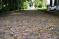 The sidewalk paved with stone blocks goes with the prospect of a distance. Comfortable straight the sidewalk