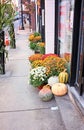 Sidewalk Pumpkin Winter Squash Crop Harvest