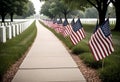 a sidewalk with say united states of america flags