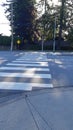 Sidewalk shadows sunlight