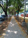 Sidewalk surrounded by trees in Thane