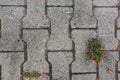 Sidewalk Tile Concrete Stone Rough Grey Texture Weed Outdoors