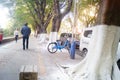 Sidewalk tree roots were painted white lime, safe over winter Royalty Free Stock Photo