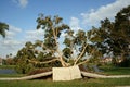 Sidewalk and trees are ripped up from Hurricane winds. Royalty Free Stock Photo